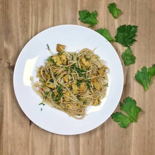 Udon Noodles with Chicken and Bean Sprouts