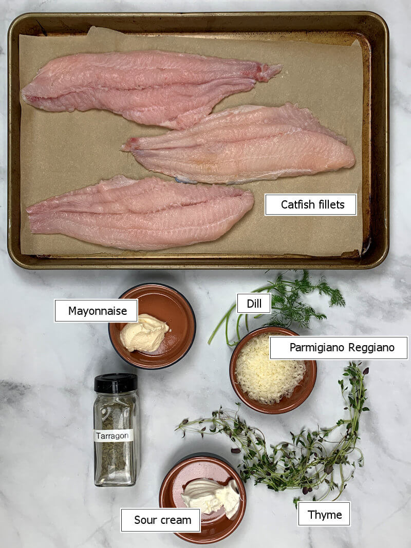 Key ingredients to make Catfish with Parmesan & Herb Crust