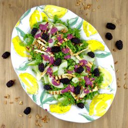 Salad with Grilled Halloumi and Blackberry Dressing