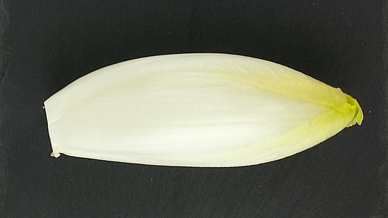 Key ingredient of Belgian Endive au Natural