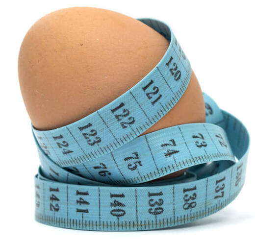 How To Measure An Egg