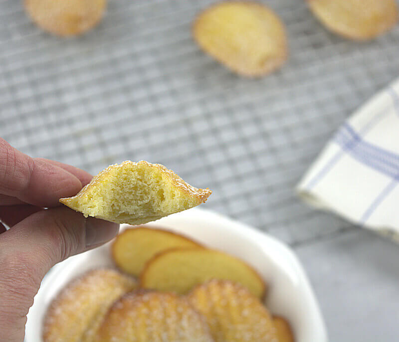 Close up of a baked Classic Madeleine. The bump is clearly visible.