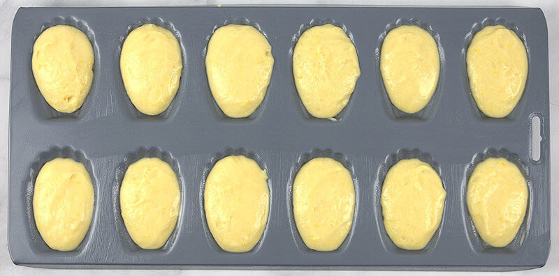Madeleine batter in madeleine pan