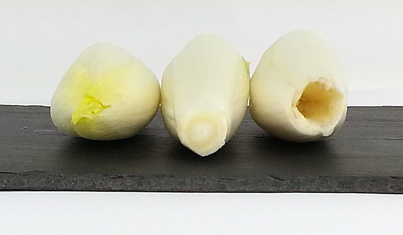 3 heads of Belgian endives, one looking at the top, one looking at the bottom and the third with the core cut out.