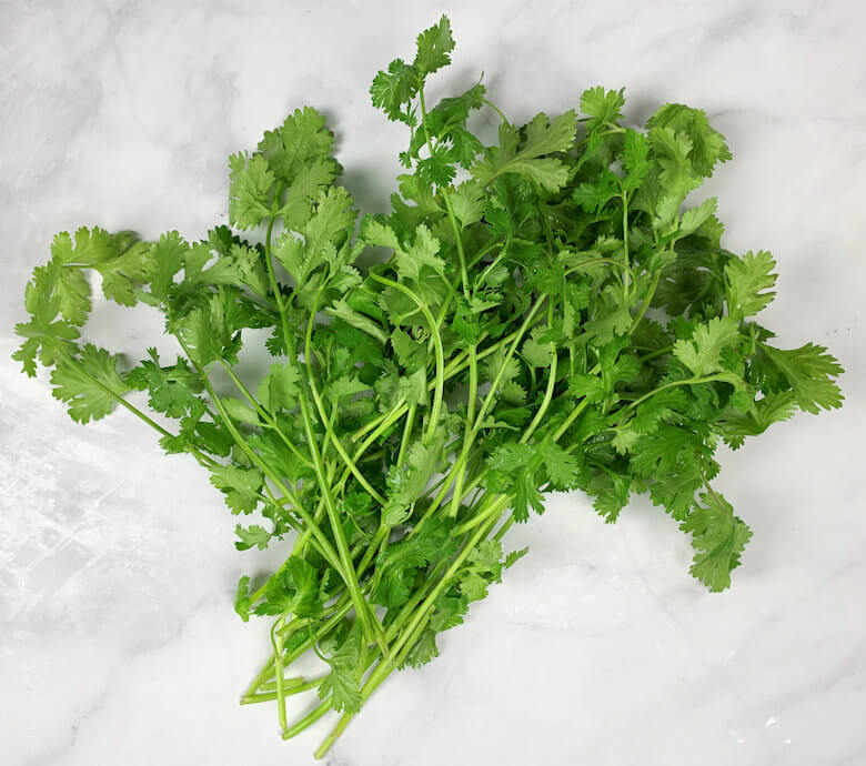 Washed cilantro