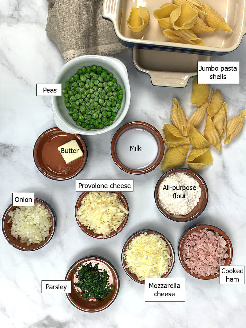 Key ingredients to make No-Tomato sauce stuffed pasta shells