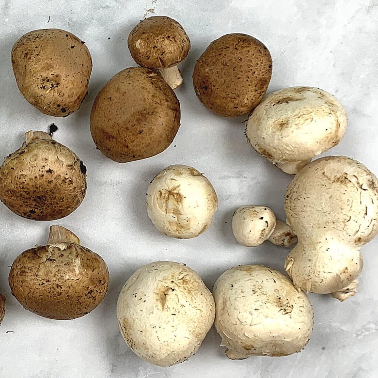 How to Clean Mushrooms