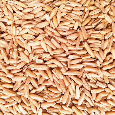 Oat groat