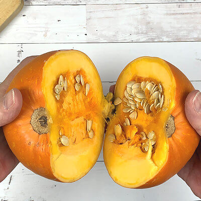 Step 2 - After you made the cuts in both sides of the stem all the way through, you can 'break' the pumpkin in half, with you hands.