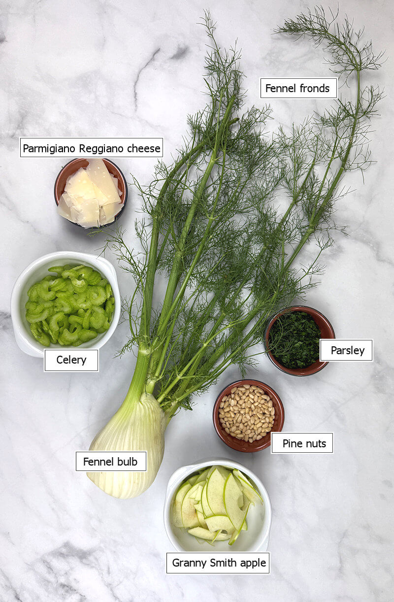 Key ingredients to make Fennel and Celery Salad