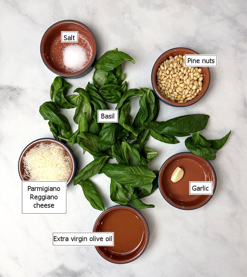 Key ingredients to make basil pesto