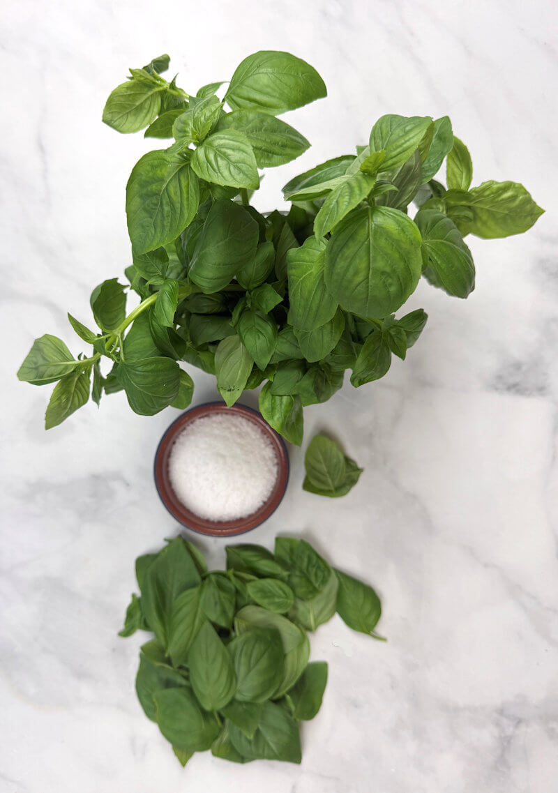 Key ingredients to make basil salt
