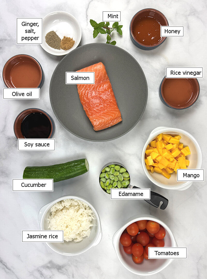 Key ingredients to make Crispy Rice & Salmon Salad